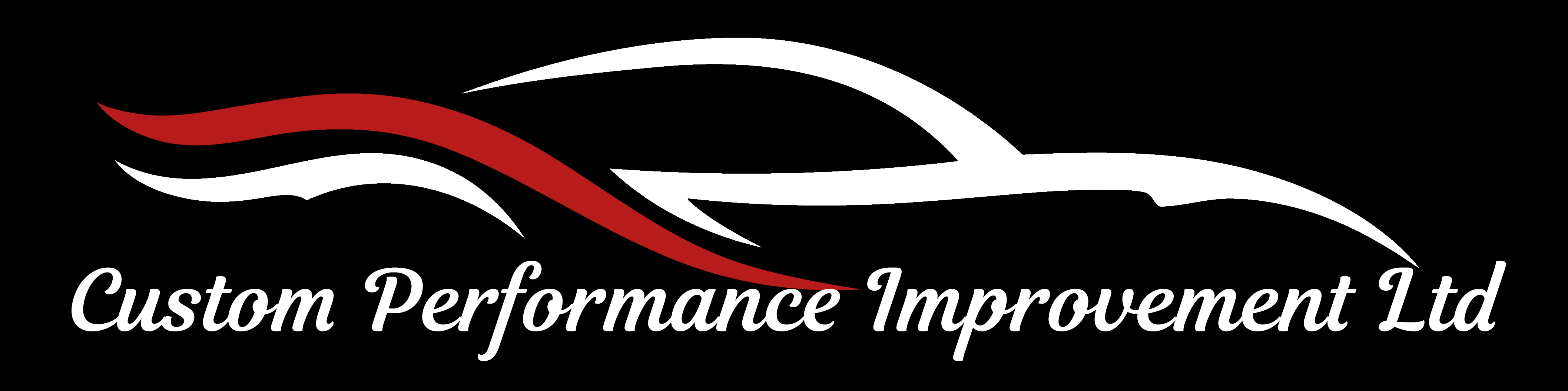 Custom Performance Improvement Logo